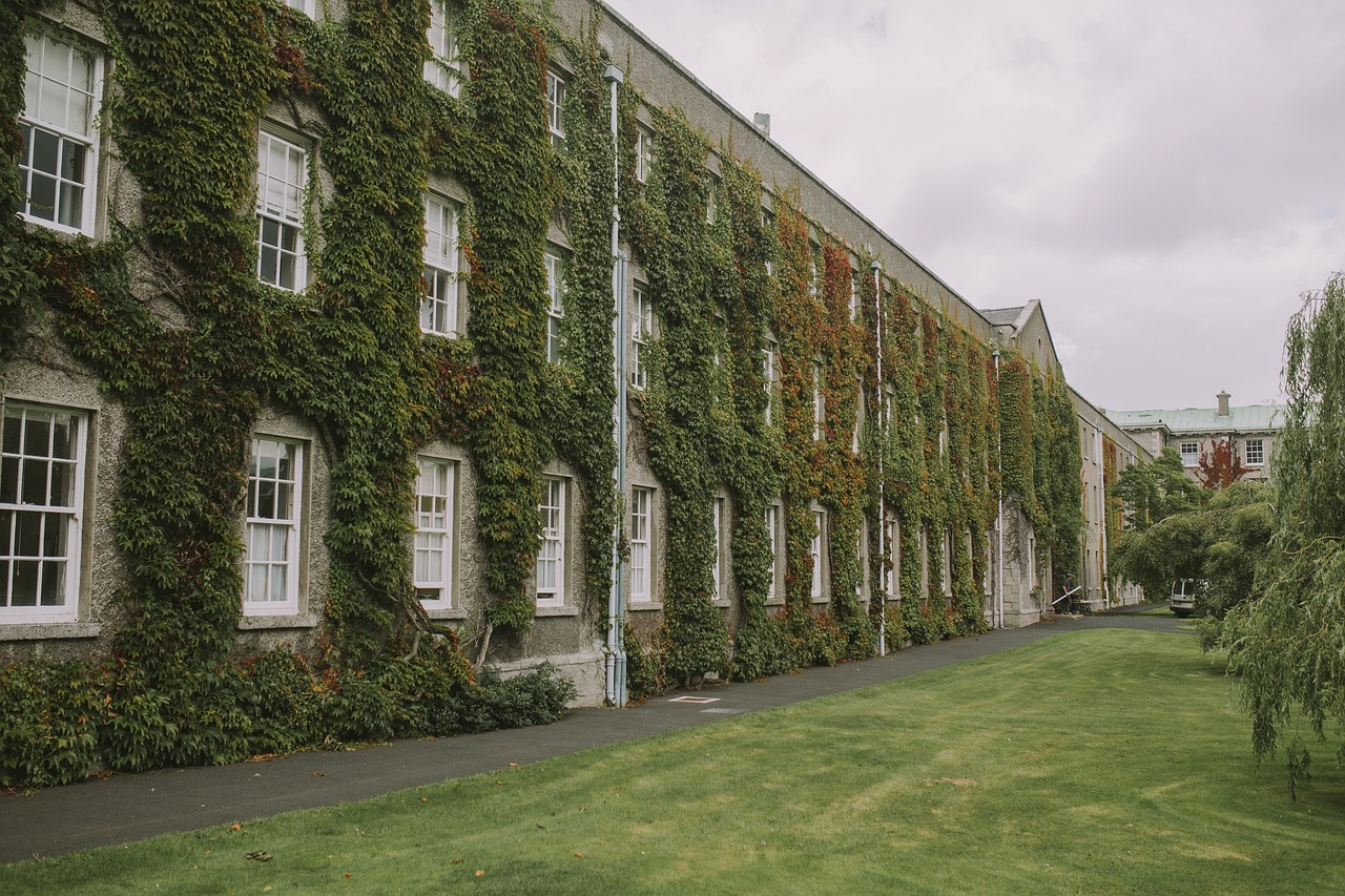 mansion, nature, growth, vines, facade, fall, autumn, leaves, foliage, environment, ivy, windows, college, university, mansion, college, college, college, college, college, university, university, university, university